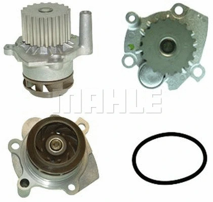 Water Pump, engine cooling (WG2182004)