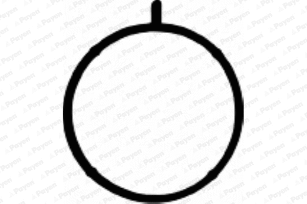 Gasket, intake manifold housing (WG1181825)