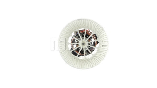 Interior Blower