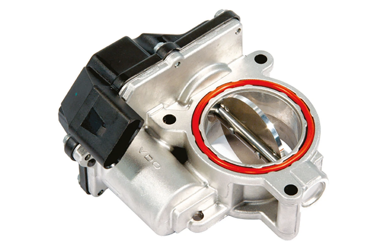 Throttle Body (WG1032877)