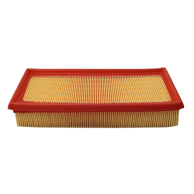 Air Filter (WG2152055)