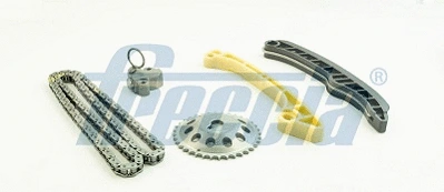 Timing Chain Kit (WG2202967)
