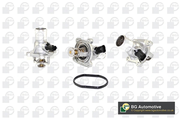 Thermostat, coolant (WG1760312)