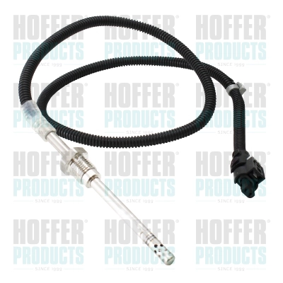 Sensor, exhaust gas temperature (WG2262914)