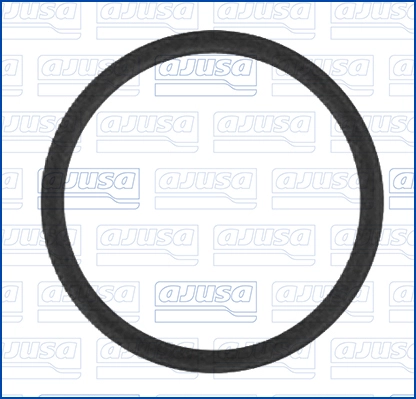 Gasket, oil pump (WG2080959)