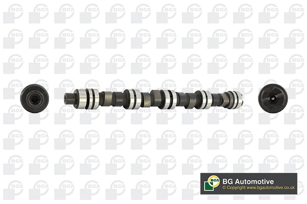 Camshaft (WG1490546)