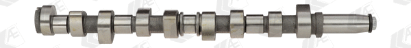 Camshaft (WG1171838)