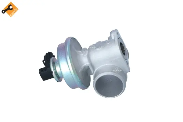 EGR Valve (WG2161816)