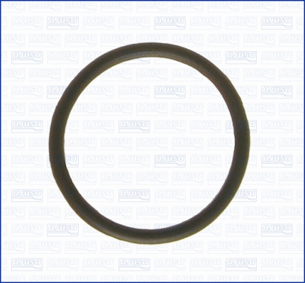 Seal, thermostat (WG1751201)