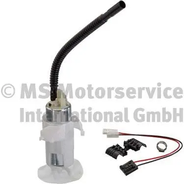 Fuel Pump (WG1888910)