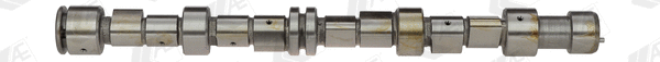 Camshaft (WG1171864)