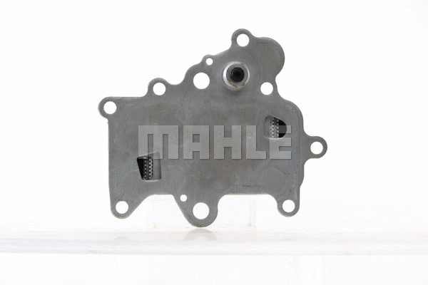 Oil Cooler, engine oil (WG2181101)