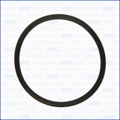 Gasket, intake manifold (WG1451893)