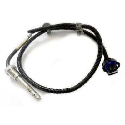Sensor, exhaust gas temperature (WG1748708)