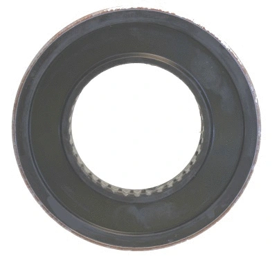 Shaft Seal, differential (WG1222344)