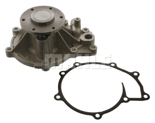 Water Pump, engine cooling (WG2181944)