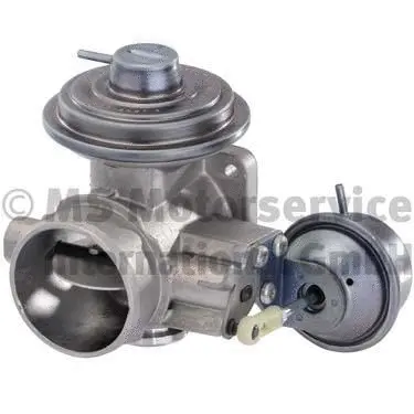 EGR Valve (WG1027051)