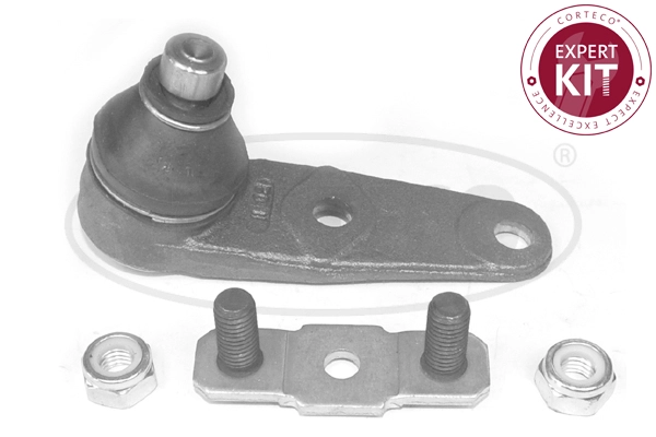 Ball Joint (WG2288253)