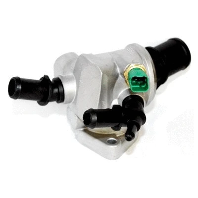 Thermostat, coolant (WG1409393)