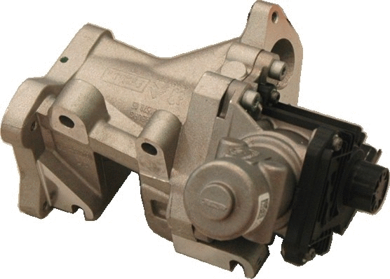EGR Valve (WG1015298)