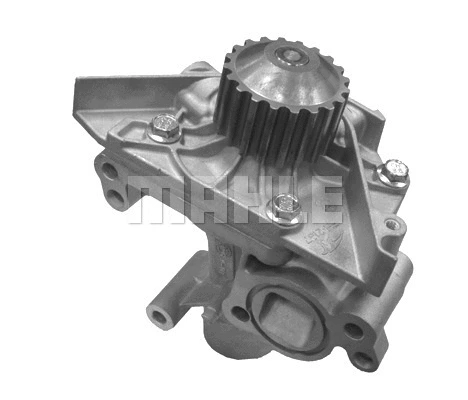 Water Pump, engine cooling (WG2181399)