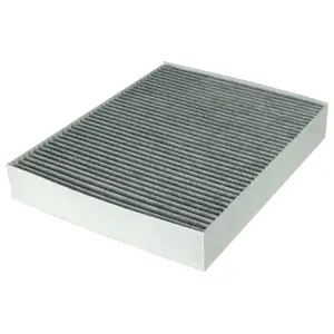 Filter, cabin air (WG1772879)