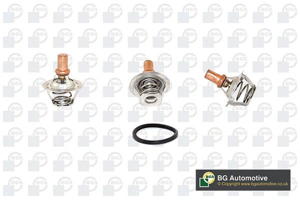 Thermostat, coolant (WG1760553)