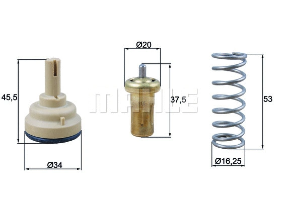 Thermostat, coolant (WG1426543)