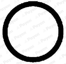 Gasket, intake manifold (WG1181807)