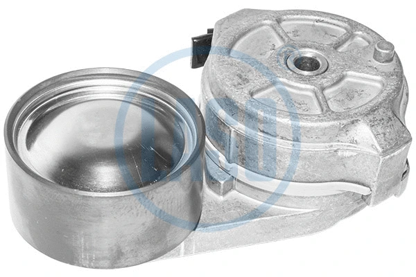 Belt Tensioner, V-ribbed belt (WG1804328)