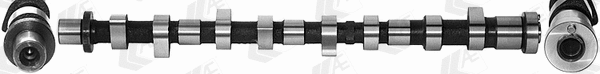Camshaft (WG1462573)