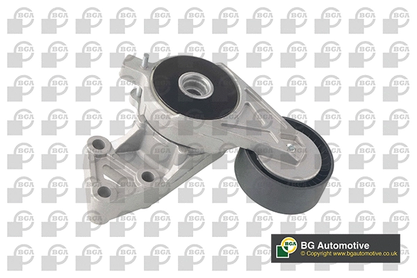 Tensioner Lever, V-ribbed belt (WG1907390)