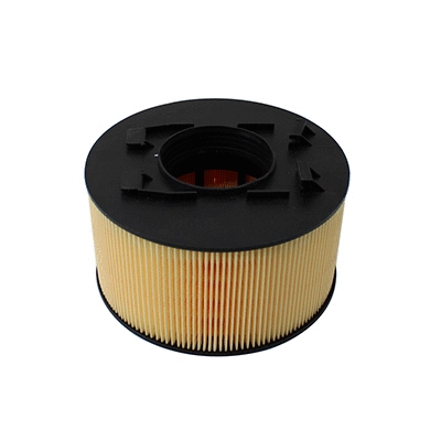 Air Filter (WG2152136)