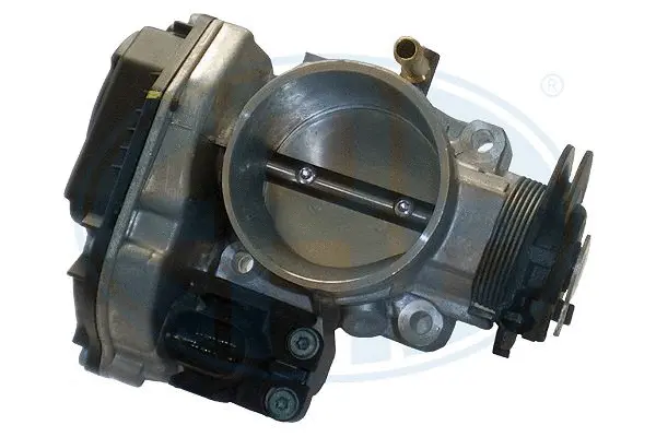 Throttle Body (WG1495010)