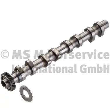 Camshaft (WG1196167)