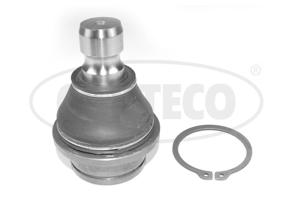 Ball Joint (WG2291547)