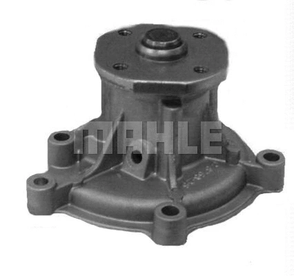 Water Pump, engine cooling (WG2181577)