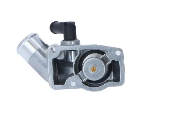 Thermostat, coolant (WG2184769)
