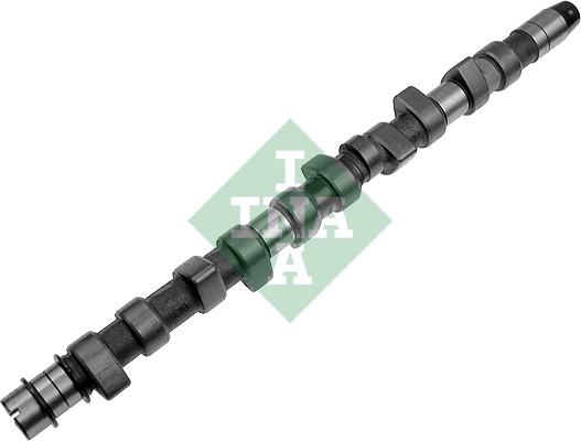 Camshaft (WG1780256)