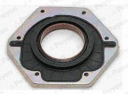 Shaft Seal, crankshaft (WG1090834)