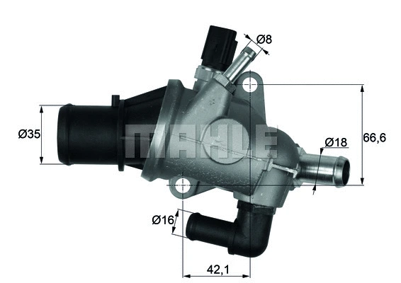 Thermostat, coolant (WG1217610)