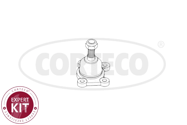 Ball Joint (WG2288353)