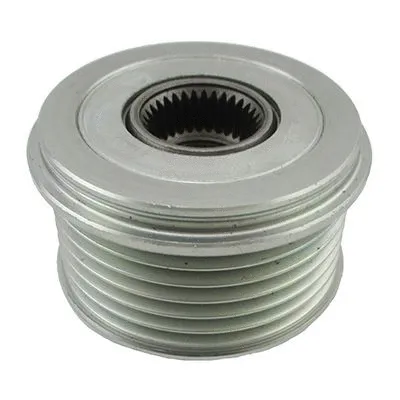 Alternator Freewheel Clutch (WG2262449)