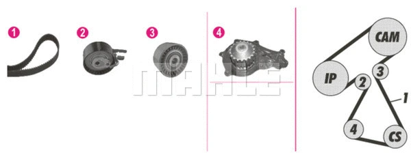 Water Pump & Timing Belt Kit (WG2182229)