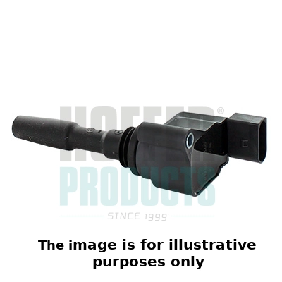 Ignition Coil (WG2196350)