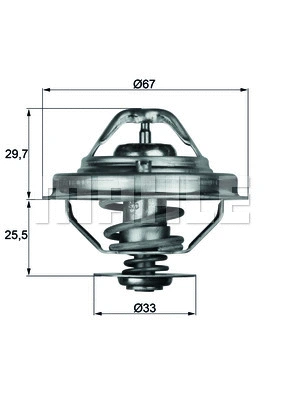 Thermostat, coolant (WG1217957)