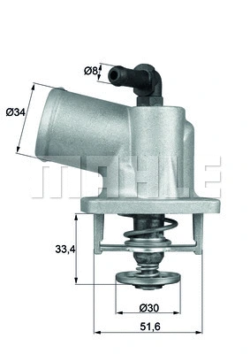 Thermostat, coolant (WG1217694)