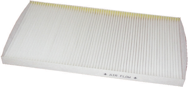 Filter, cabin air (WG1746992)