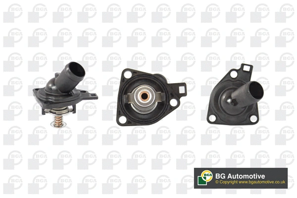 Thermostat, coolant (WG1760307)