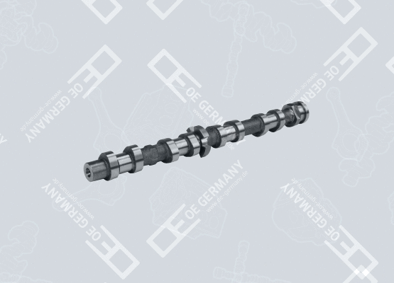 Camshaft (WG2102467)